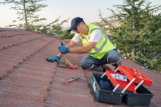 Best Roof Gutter Cleaning  in Clearwater, KS