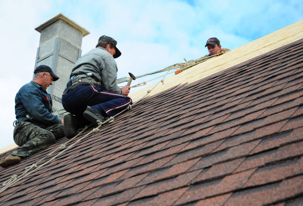 Best Storm Damage Roof Repair  in Clearwater, KS